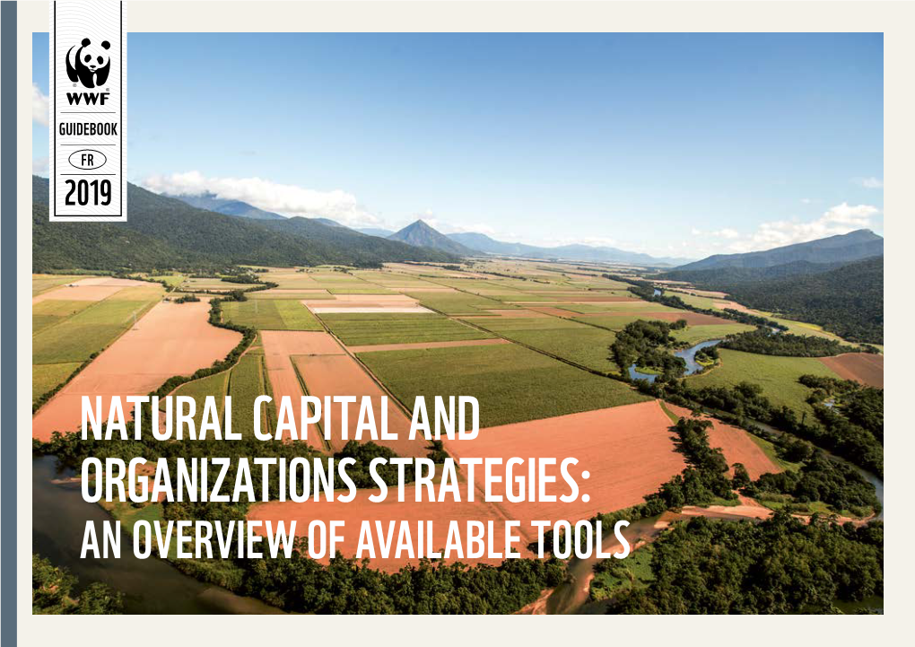 Natural Capital and Organizations Strategies