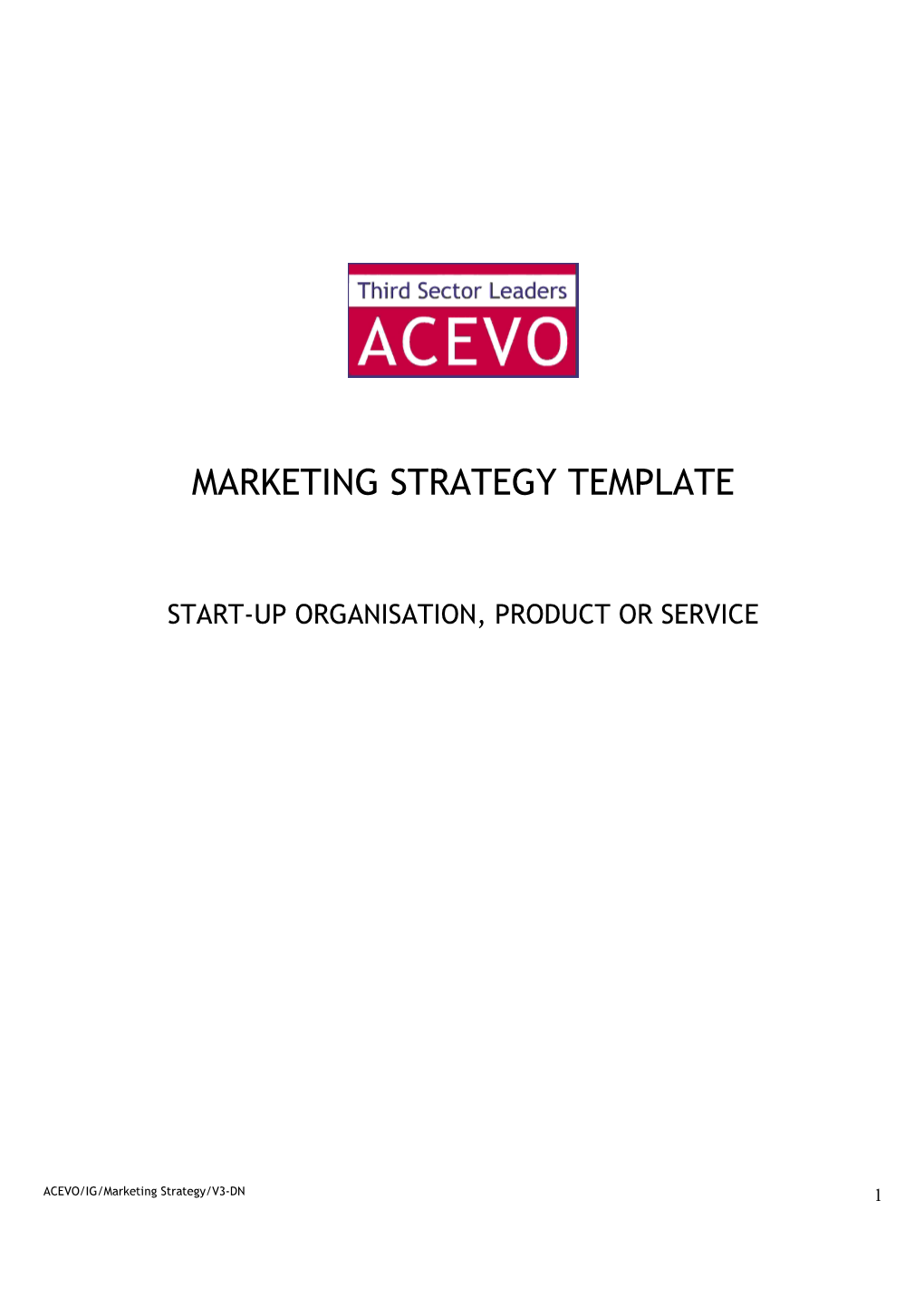 Marketing Strategy Template