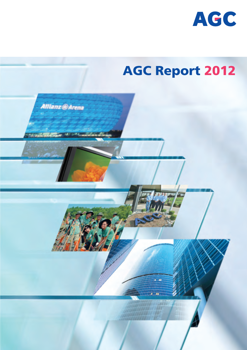 AGC Report 2012