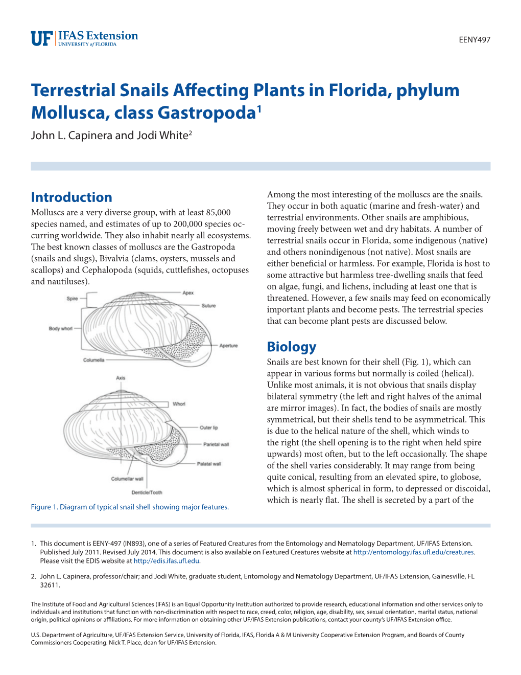 Terrestrial Snails Affecting Plants in Florida, Phylum Mollusca, Class Gastropoda1 John L