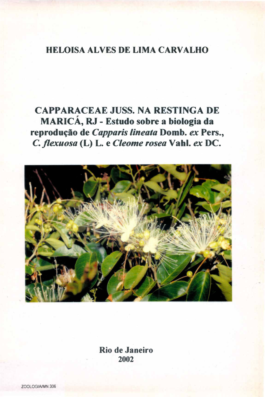 Reprodução De Capparis Lineata Domb. Ex Pers., C.Jlexuosa(L) L