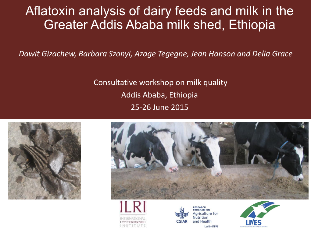 Aflatoxin Analysis of Dairy Feeds and Milk in the Greater Addis Ababa Milk Shed, Ethiopia