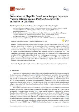 N-Terminus of Flagellin Fused to an Antigen Improves Vaccine Efficacy Against Pasteurella Multocida Infection in Chickens