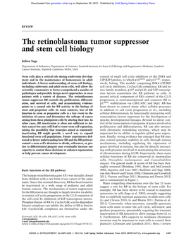 The Retinoblastoma Tumor Suppressor and Stem Cell Biology