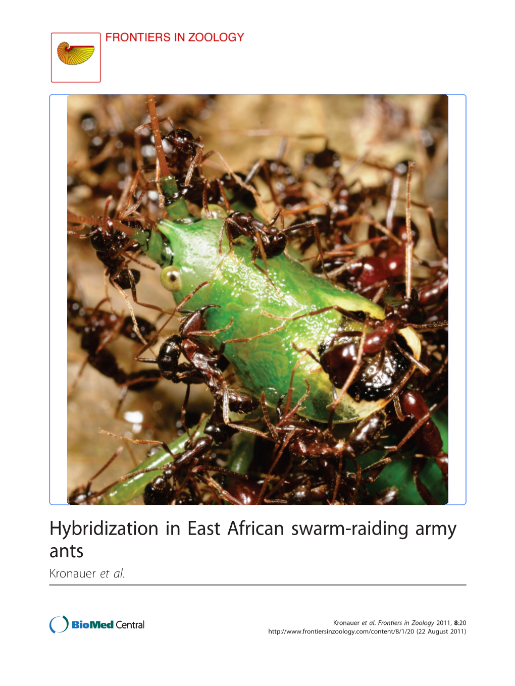 Hybridization in East African Swarm-Raiding Army Ants Kronauer Et Al
