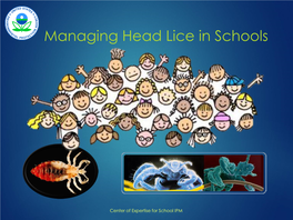 Managing Head Lice in Schools