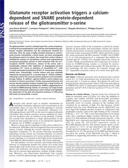 Glutamate Receptor Activation Triggers a Calcium- Dependent and SNARE Protein-Dependent Release of the Gliotransmitter D-Serine