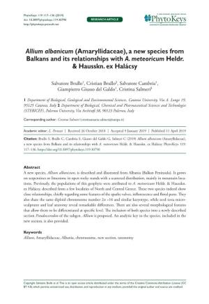 Allium Albanicum (Amaryllidaceae), a New Species from Balkans and Its