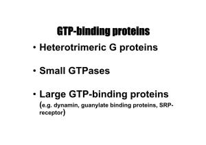 GTP-Binding Proteins • Heterotrimeric G Proteins