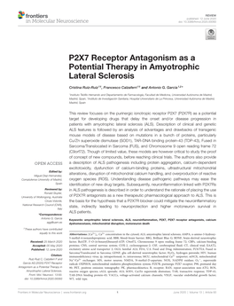 P2X7 Receptor Antagonism As a Potential Therapy in Amyotrophic Lateral Sclerosis