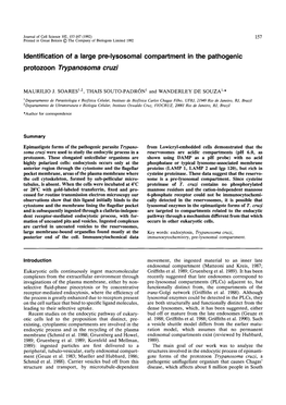 Identification of a Large Pre-Lysosomal Compartment in the Pathogenic Protozoon Trypanosoma Cruzi