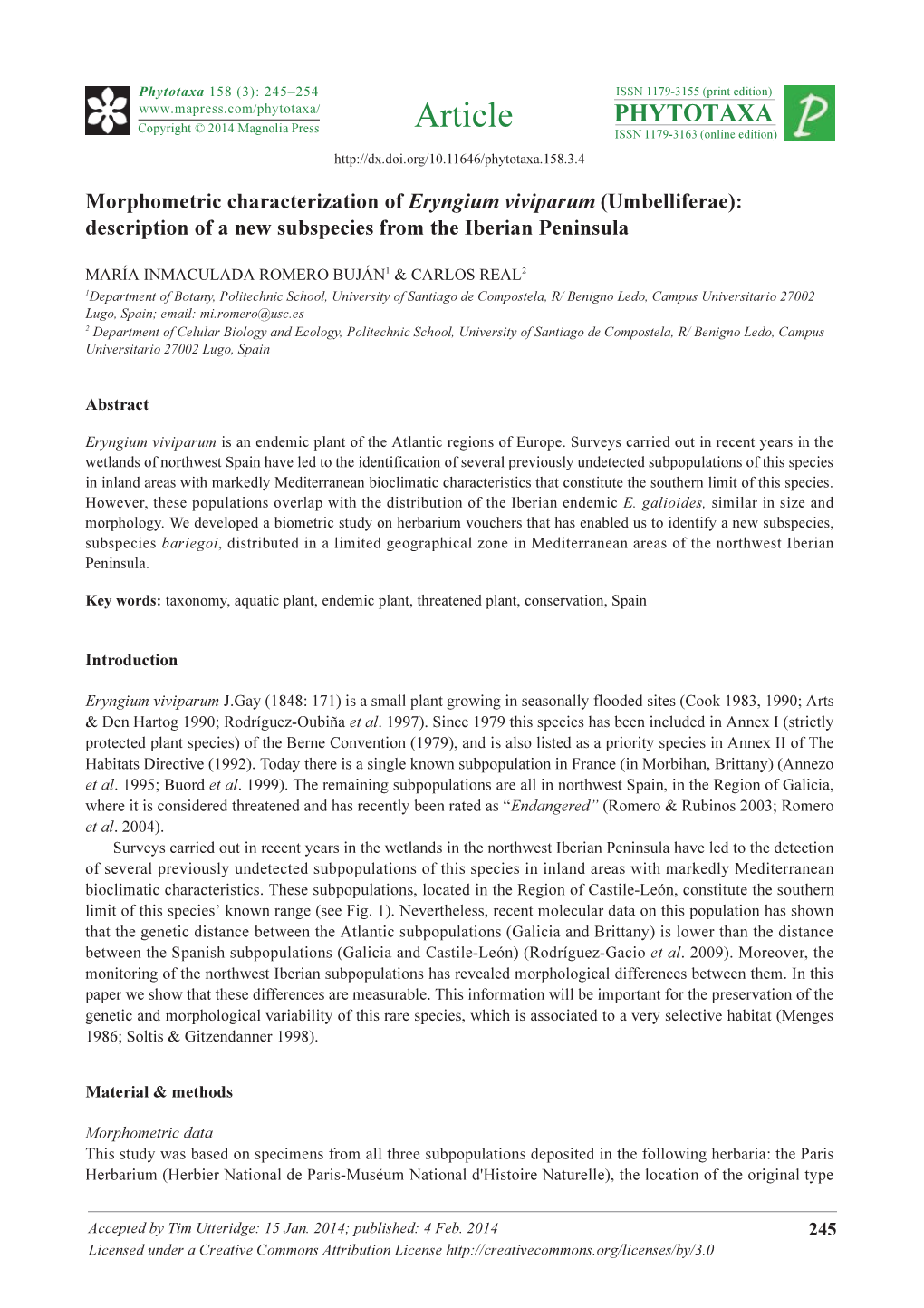 Morphometric Characterization of Eryngium Viviparum (Umbelliferae): Description of a New Subspecies from the Iberian Peninsula