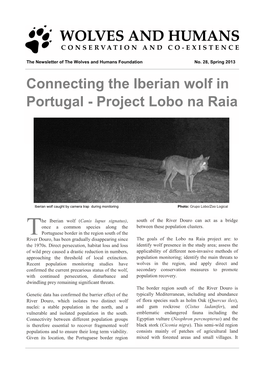 Connecting the Iberian Wolf in Portugal - Project Lobo Na Raia