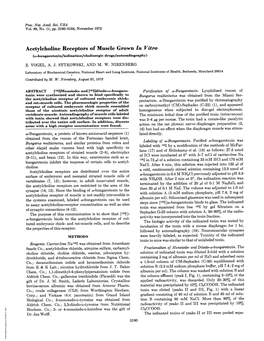 Acetylcholine Receptors of Musclegrown in Vitro