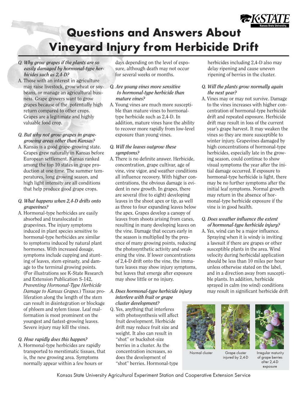 MF2588 Questions and Answers About Vineyard Injury From