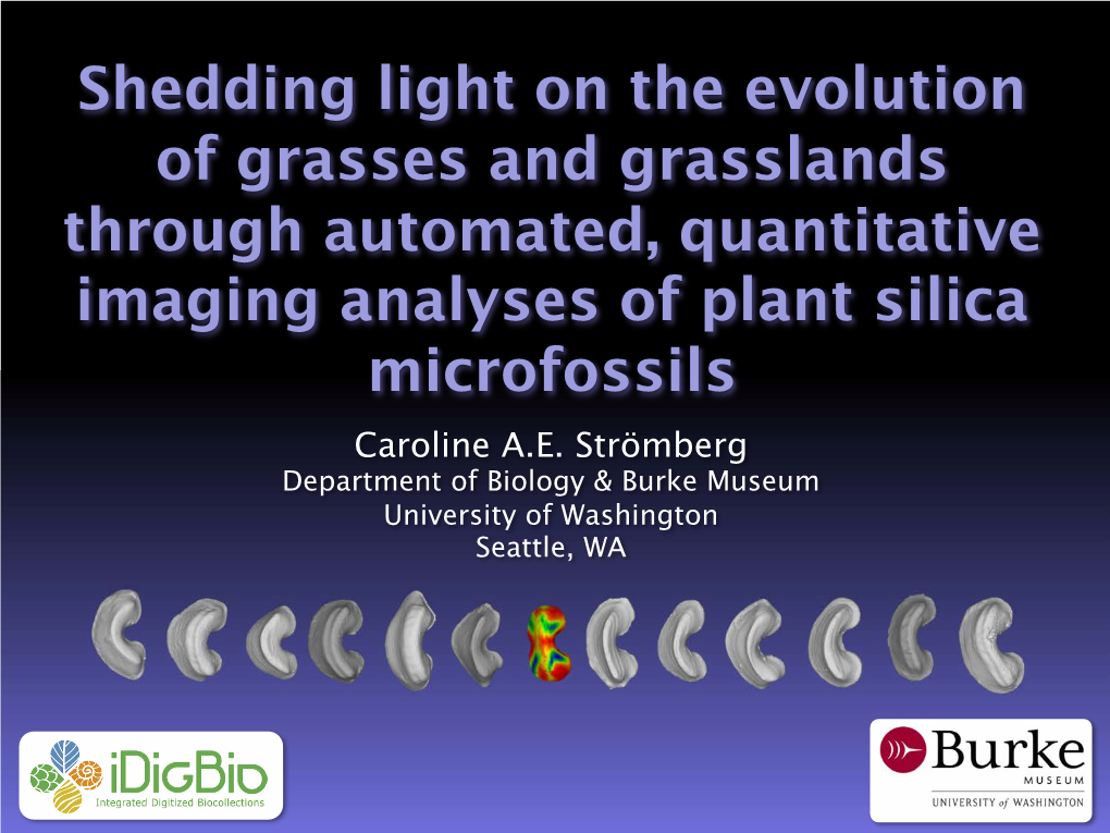 Shedding Light on the Evolution of Grasses and Grasslands Through Automated, Quantitative Imaging Analyses of Plant Silica Microfossils Caroline A.E
