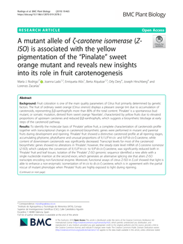A Mutant Allele of Ζ-Carotene Isomerase (Z-ISO)