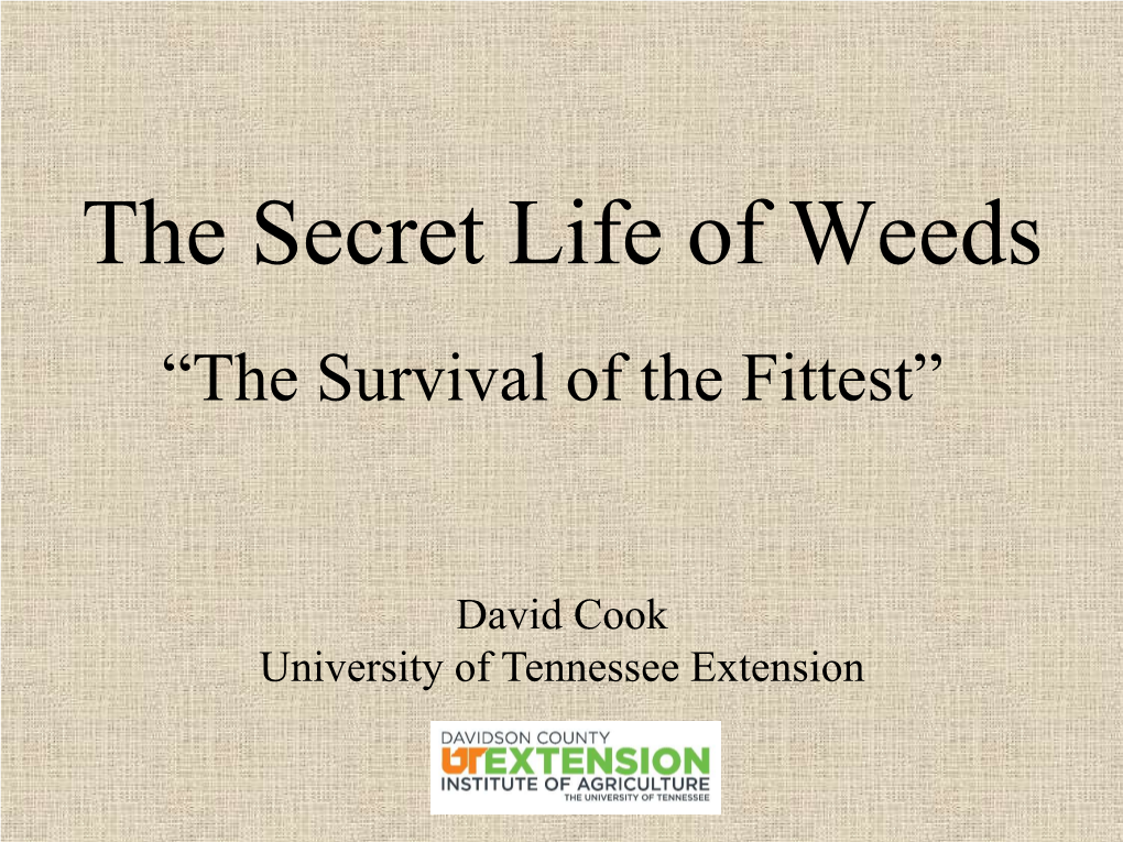 The Secret Life of Weeds “The Survival of the Fittest”