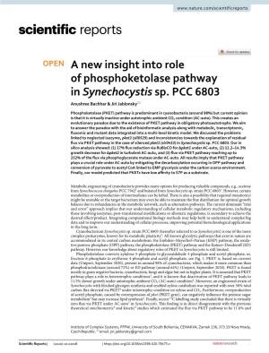 A New Insight Into Role of Phosphoketolase Pathway in Synechocystis Sp