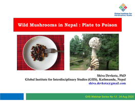 Wild Mushrooms in Nepal : Plate to Poison