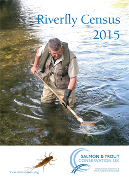 Riverfly Census 2015.Indd