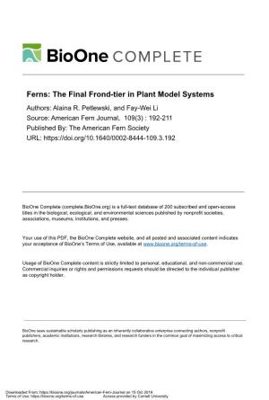 Ferns: the Final Frond-Tier in Plant Model Systems