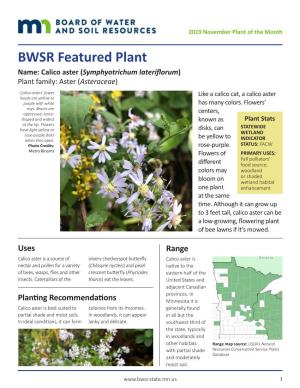 BWSR Featured Plant: Calico Aster