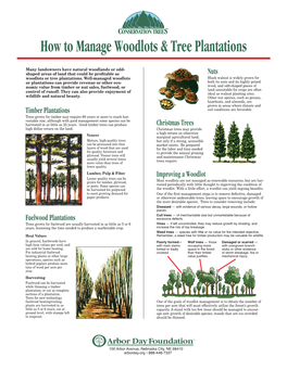 How to Manage Woodlots & Tree Plantations