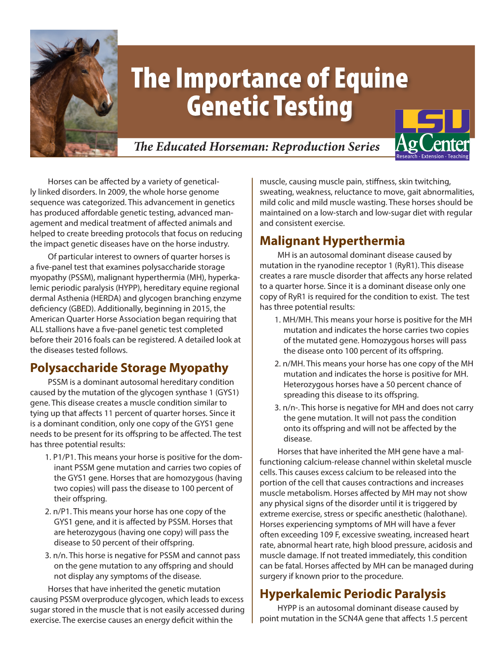 The Importance of Equine Genetic Testing