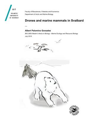 Drones and Marine Mammals in Svalbard