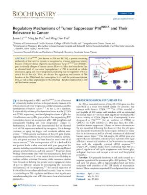Regulatory Mechanisms of Tumor Suppressor P16&lt;Sup&gt;