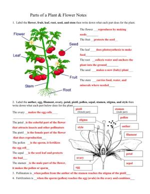 Parts of a Plant & Flower Notes