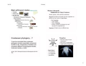 Crustacean Phylogeny…? Nauplius • First Larva Stage of Most “It Can Be Concluded That Crustacean Crustaceans