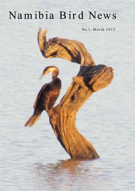 Namibia Bird News