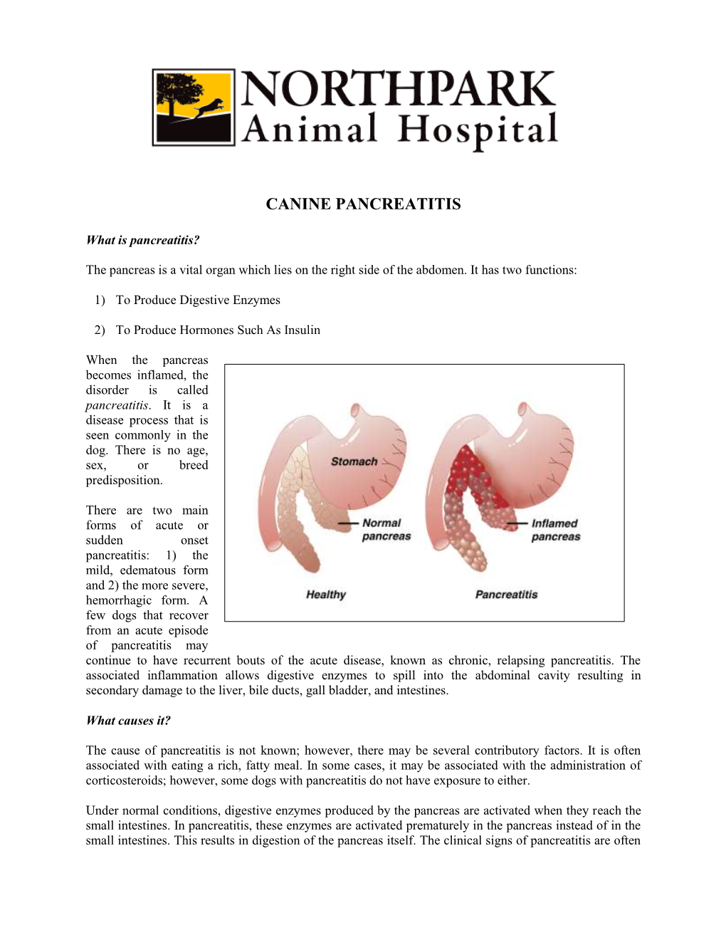 Canine Pancreatitis