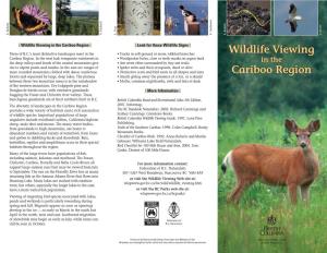 Wildlife Viewing in the Cariboo Region ] [ Look for These Wildlife Signs ]