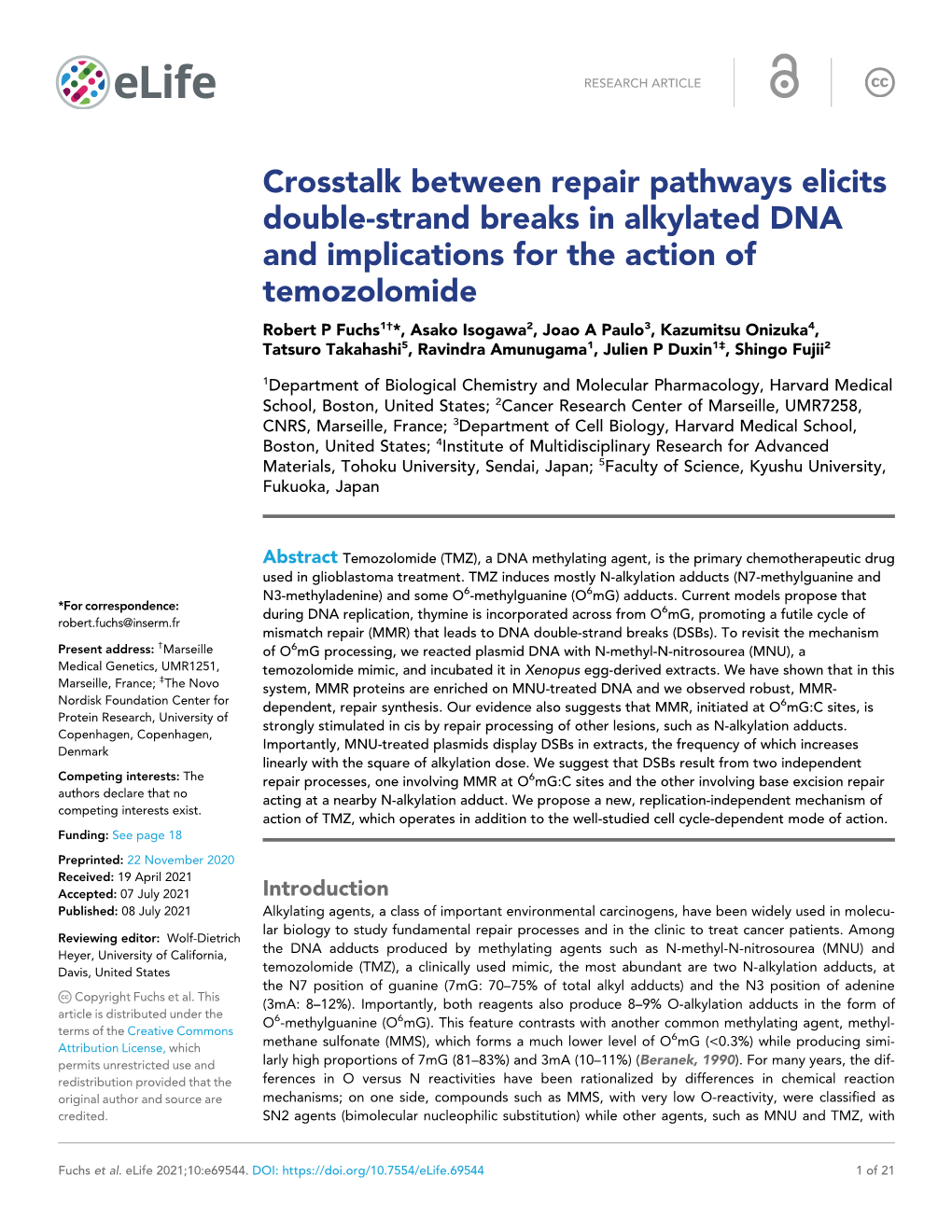 Crosstalk Between Repair Pathways Elicits Double-Strand Breaks In