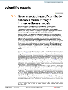 Novel Myostatin-Specific Antibody Enhances Muscle Strength In