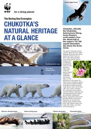 Chukotka's Natural Heritage at a Glance