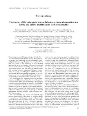 First Survey of the Pathogenic Fungus Batrachochytrium Salamandrivorans in Wild and Captive Amphibians in the Czech Republic