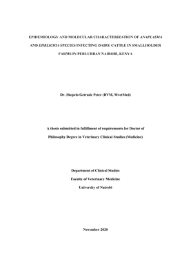 Epidemiology and Molecular Characterization of Anaplasma and Ehrlichia Species Infecting Dairy Cattle in Smallholder Farms in Pe