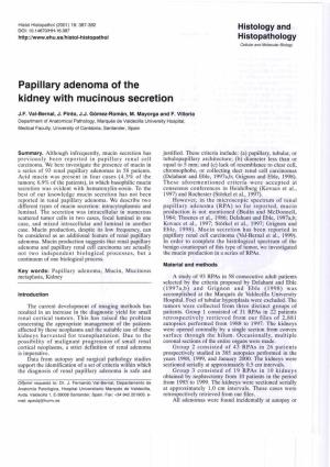 Papillary Adenoma of the Kidney with Mucinous Secretion