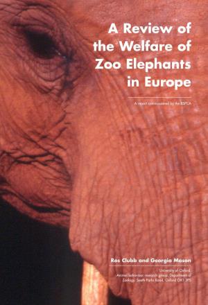 A Review of the Welfare of Zoo Elephants in Europe