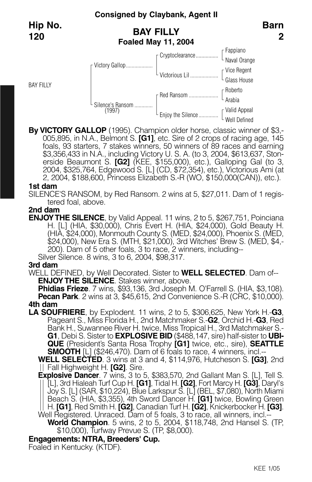 BAY FILLY Barn 2 Hip No