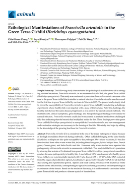 Pathological Manifestations of Francisella Orientalis in the Green Texas Cichlid (Herichthys Cyanoguttatus)