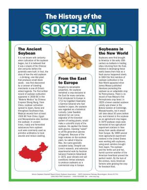 History of the SOYBEAN