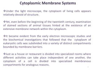 Cytoplasmic Membrane Systems