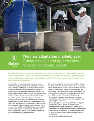 The New Adaptation Marketplace: Climate Change and Opportunities for Green Economic Growth
