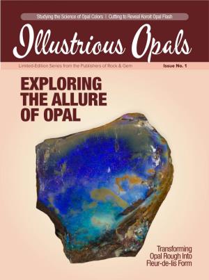 Exploring the Allure of Opal