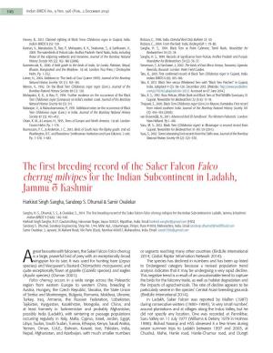 The First Breeding Record of the Saker Falcon Falco Cherrug Milvipes for the Indian Subcontinent in Ladakh, Jammu & Kashmir